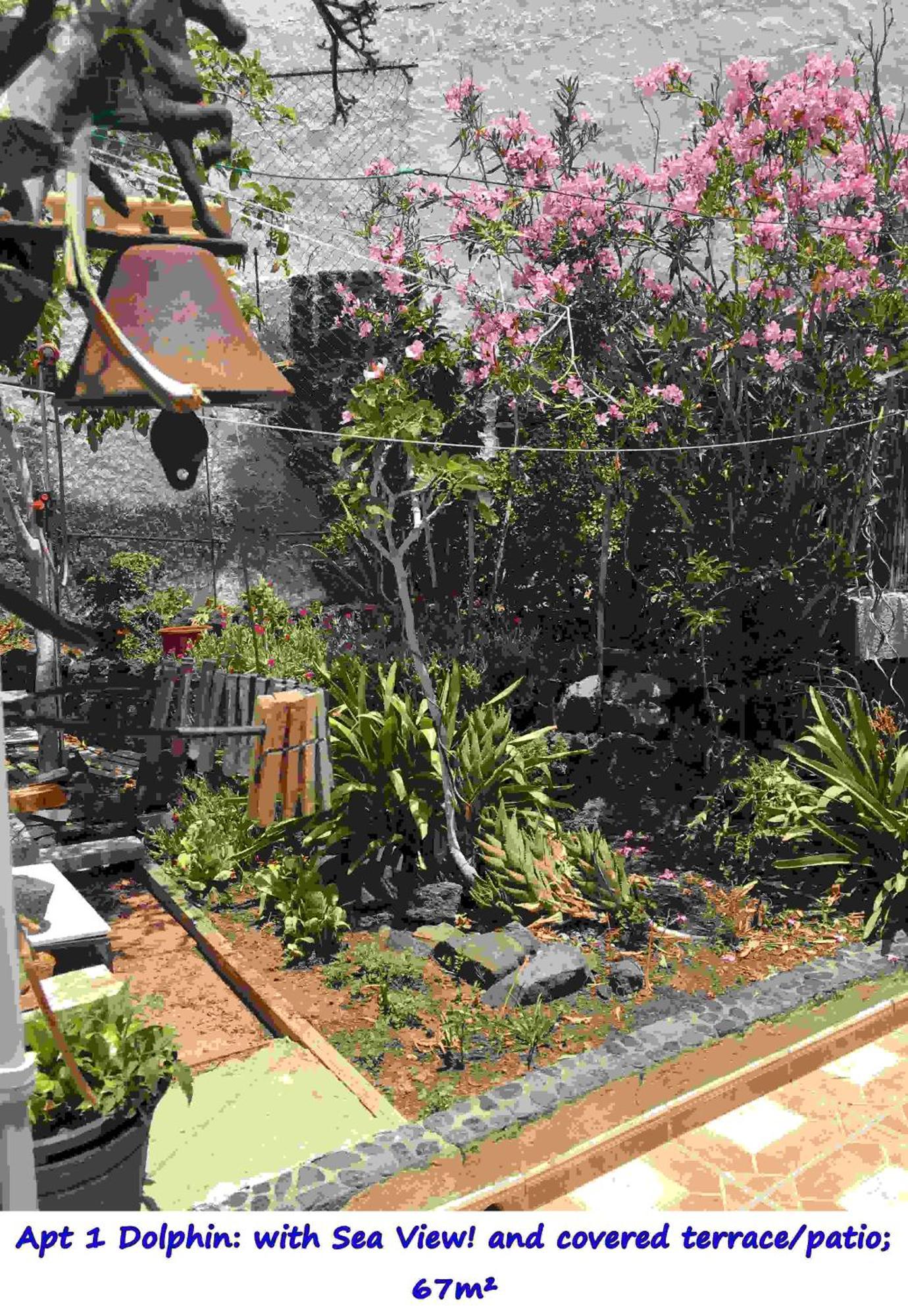 Casa Las Playitas -Clp- Best Sea View - In 1 Minute Ocean Las Playas Exterior photo